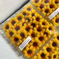 25pcs Fuzzy Mini Sunflower | Handmade with Love
