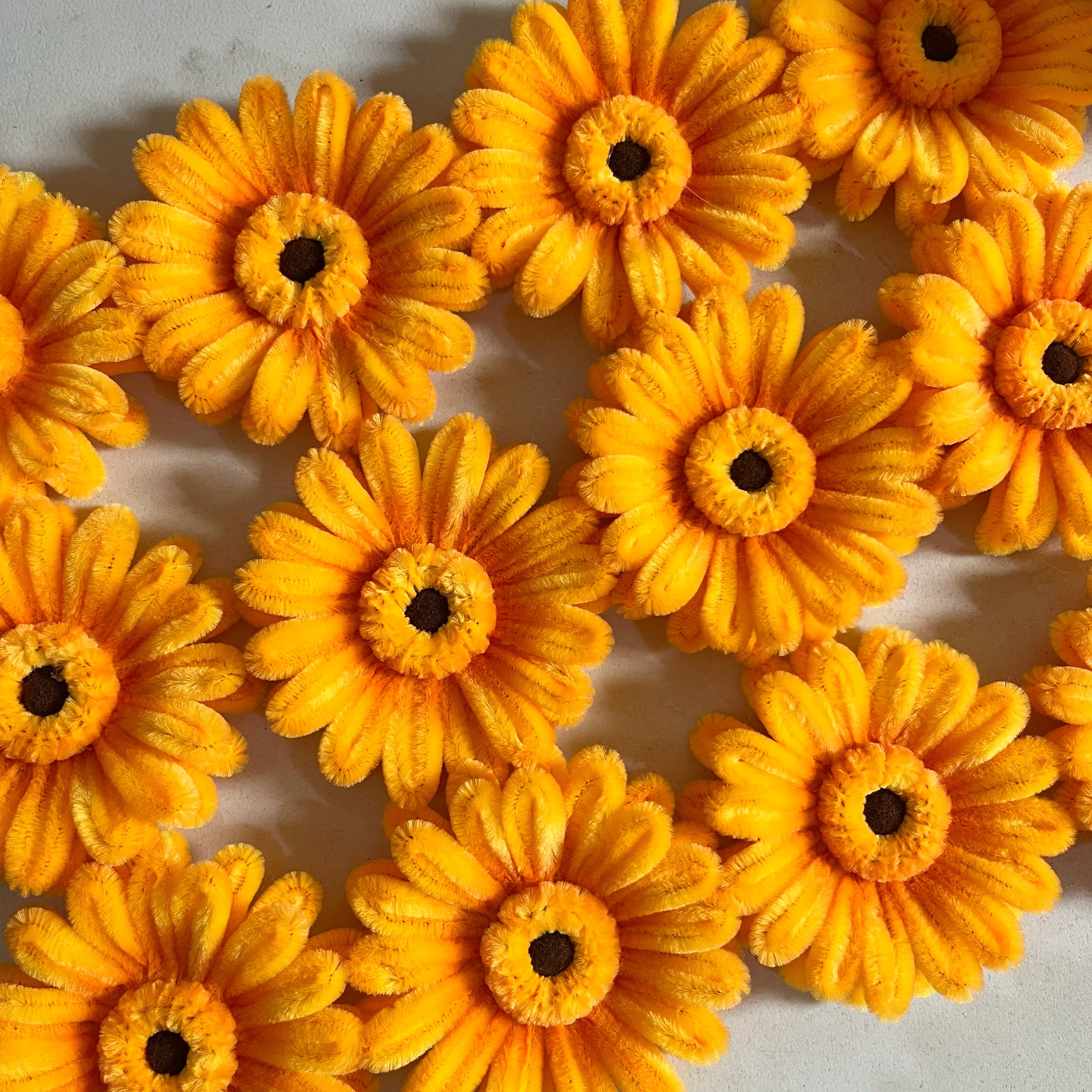 Fuzzy Gerbera Flower Head