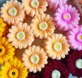 Fuzzy Gerbera Flower Head