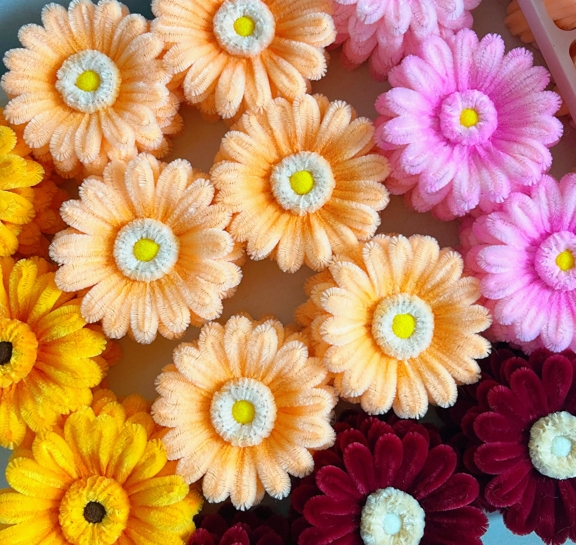 Fuzzy Gerbera Flower Head