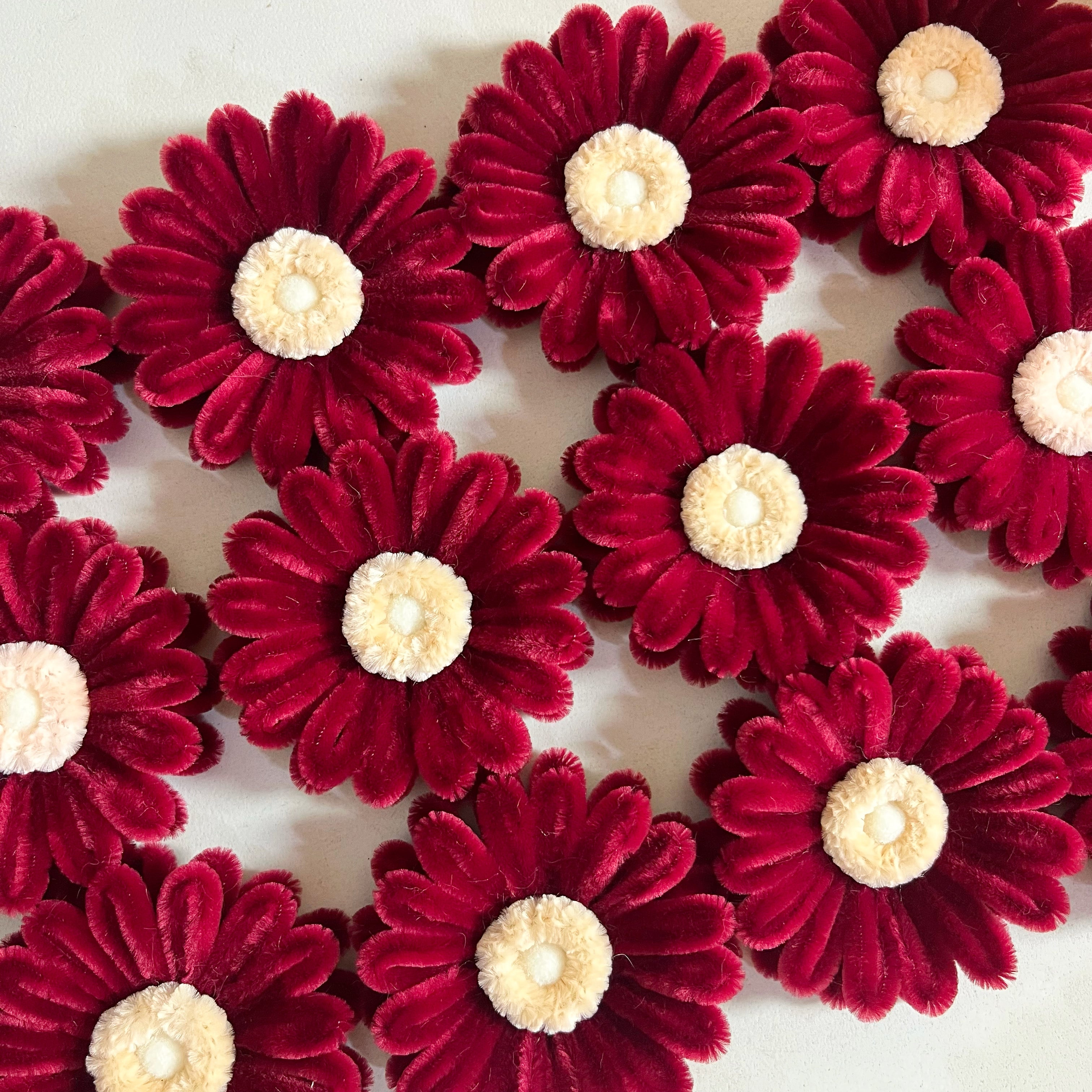 Fuzzy Gerbera Flower Head