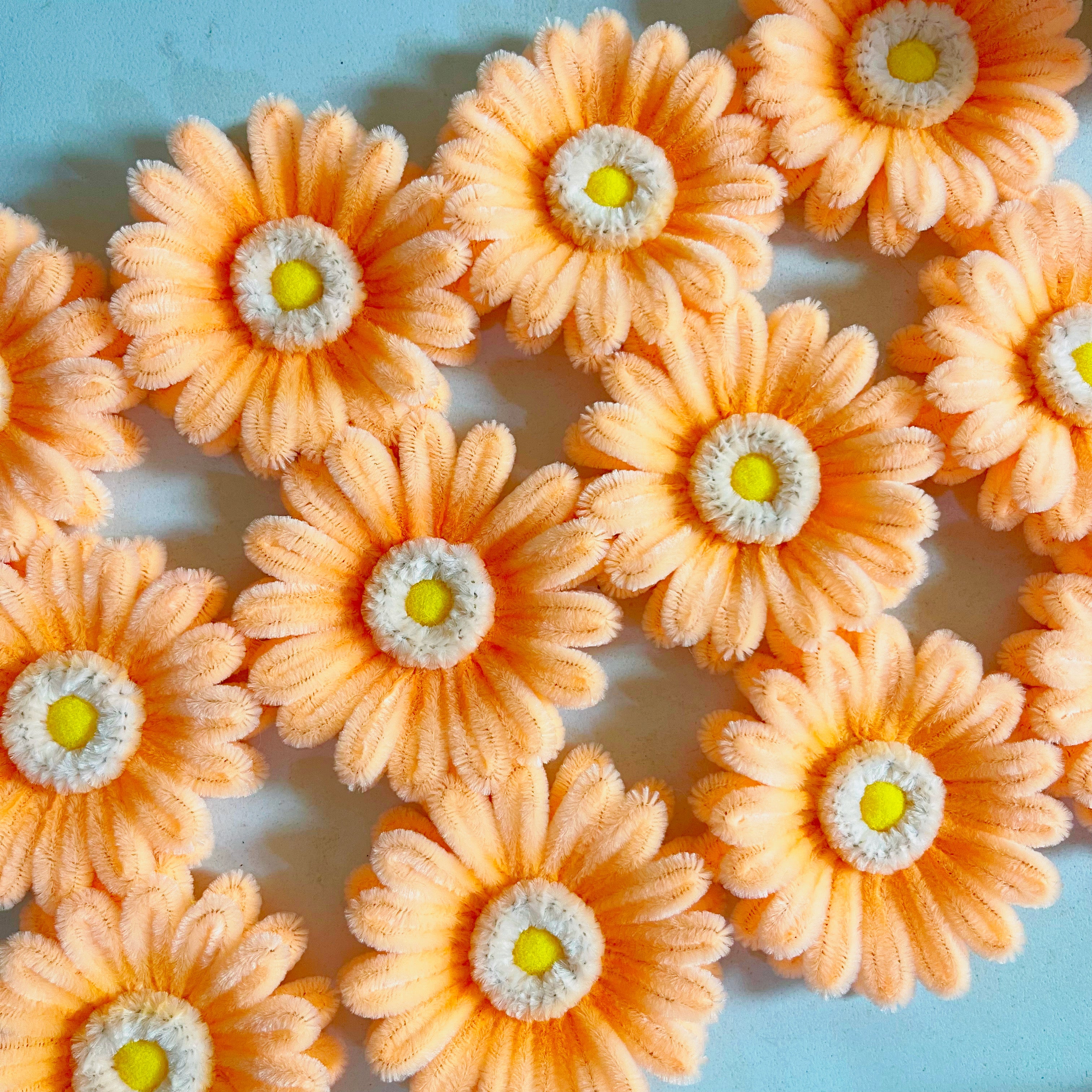 Fuzzy Gerbera Flower Head