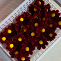 25pcs Daisy Flower